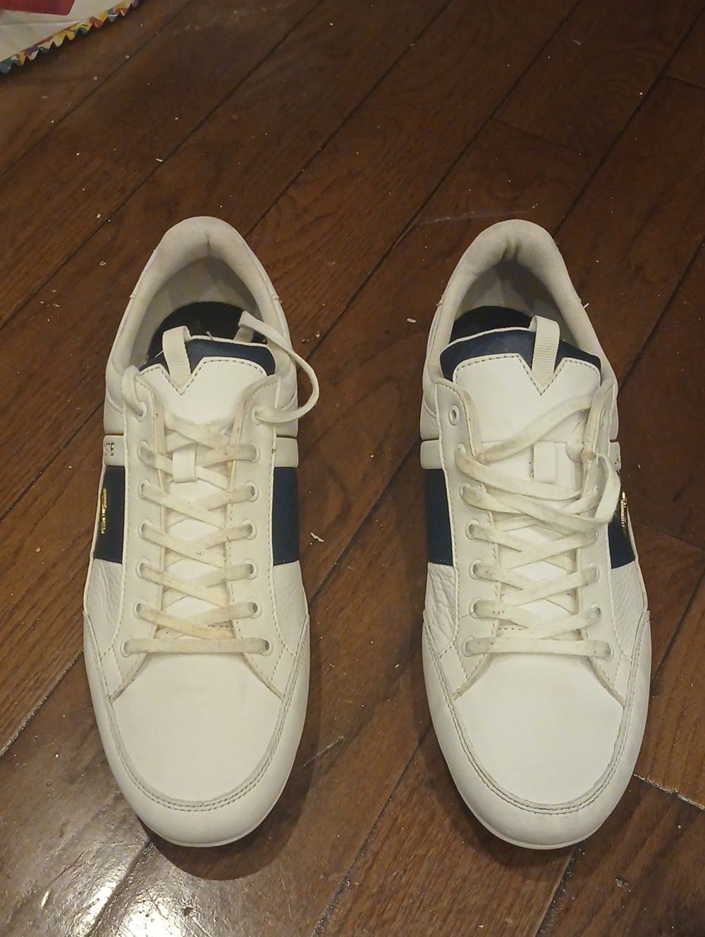 Men's White and Navy Lacoste